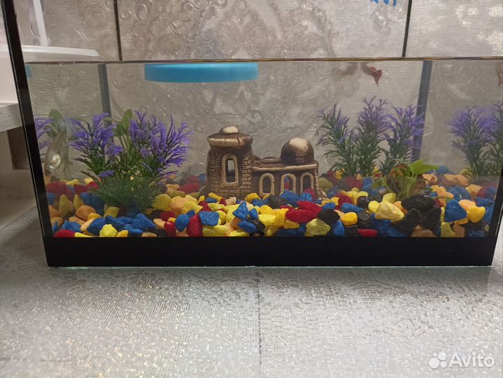 Аквариум 10л с рыбками