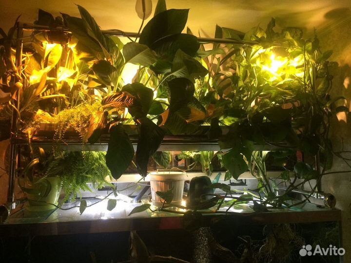 Аквариумная система 1000л