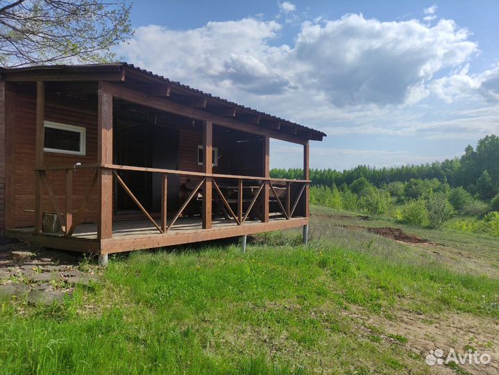 Платная рыбалка