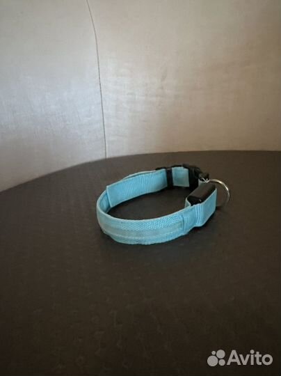 Ошейник для кошки/маленькой собаки