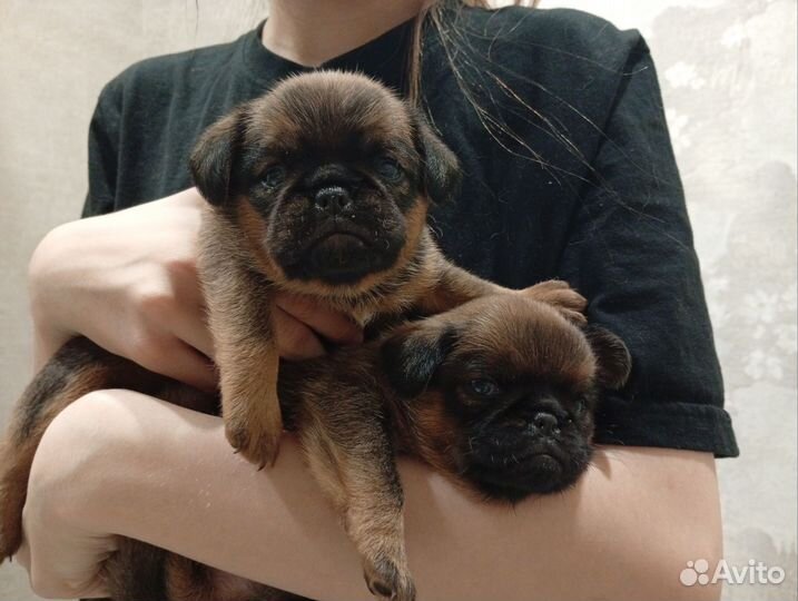 Мальчик и девочка