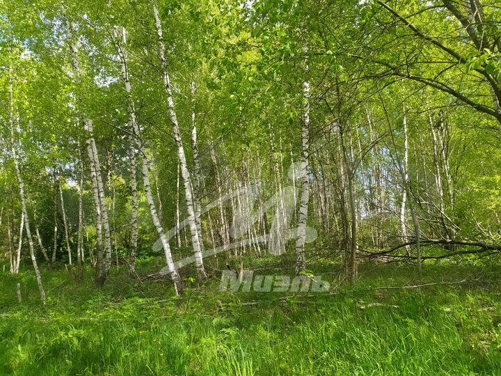 Участок 15 сот. (личное подсобное хозяйство (лпх))