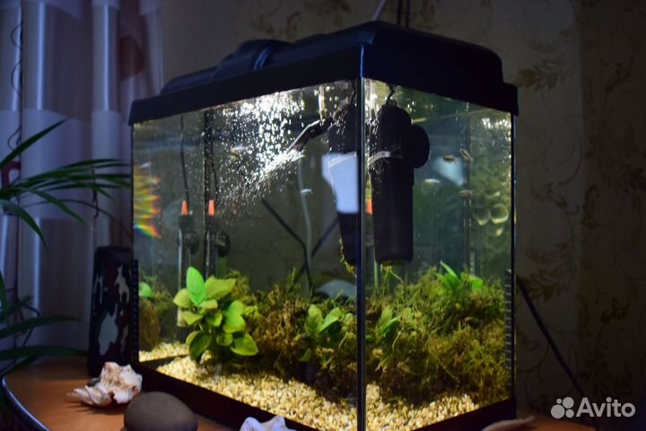 Аквариум 30л