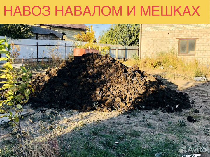 Навоз Перегной Коровий Говяжий