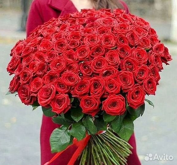 Высокие Розы Гиганты Доставка Круглосуточно