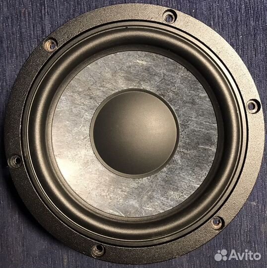 Focal Chora динамики