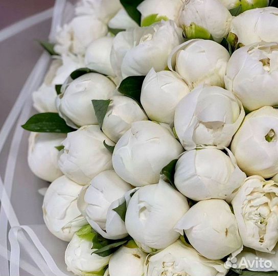 Пионы Розы Доставка