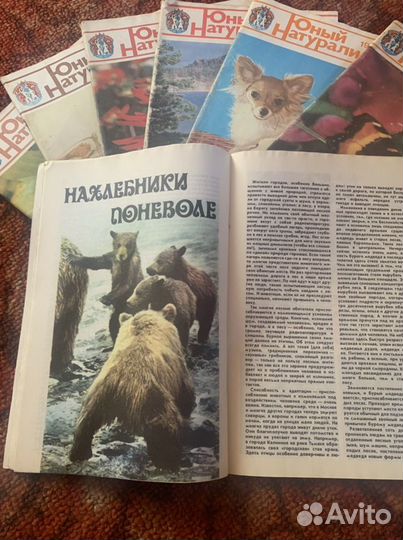 Журналы «Юный натуралист» 86-87 гг
