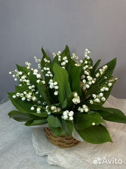 Композиция с душмстыми ландышами