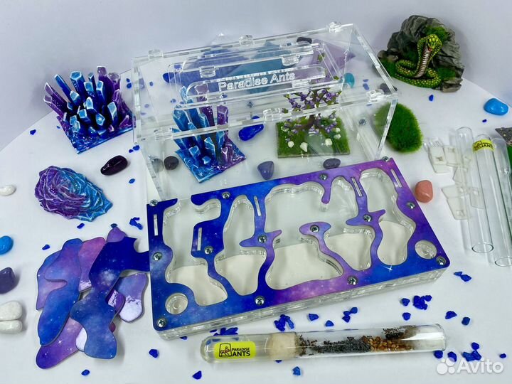 Муравьиная ферма с муравьями