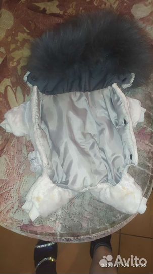 Одежда для маленьких собак