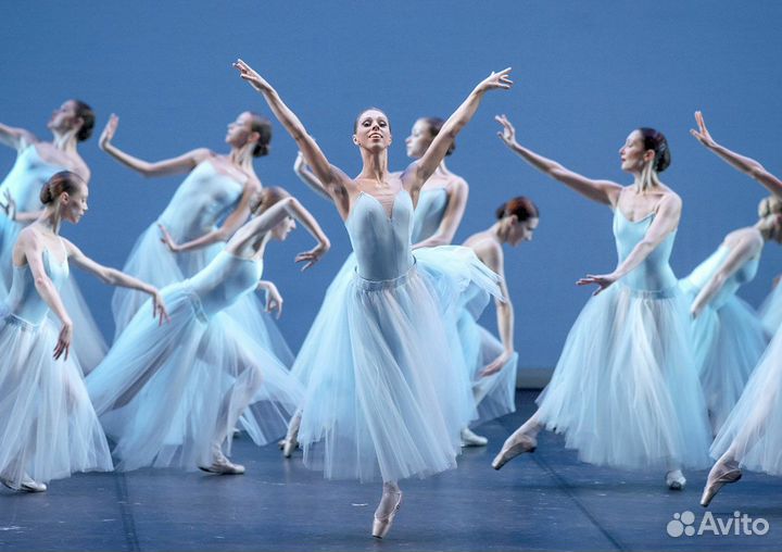 Билеты в театр им Станиславского лебединое озеро