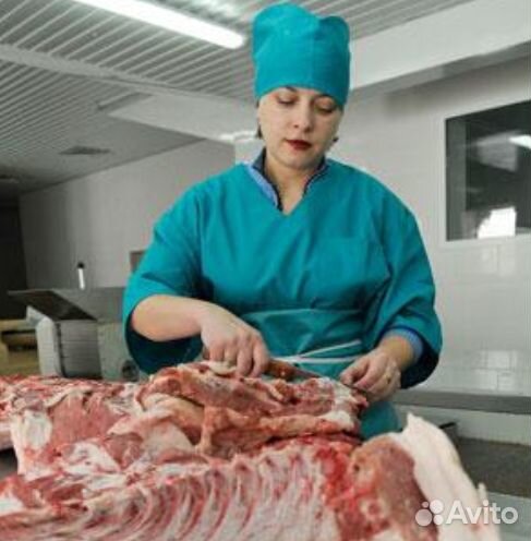 Готовый бизнес ищет займ, доход 21 тр/мес