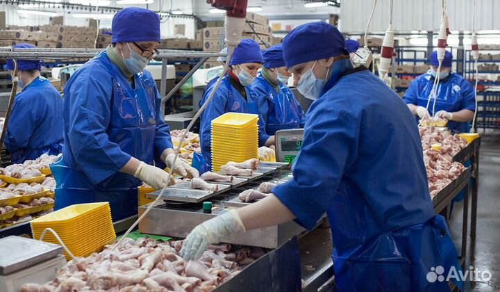 Вахта разнорабочие