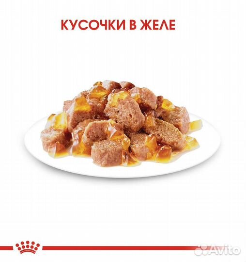 Влажный корм для кошек royal canin