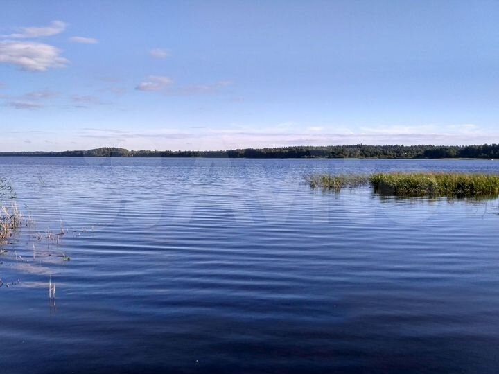 Участок 20 сот. (СНТ, ДНП)