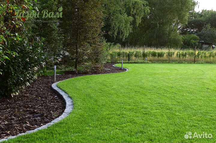 Укладка рулонного газона