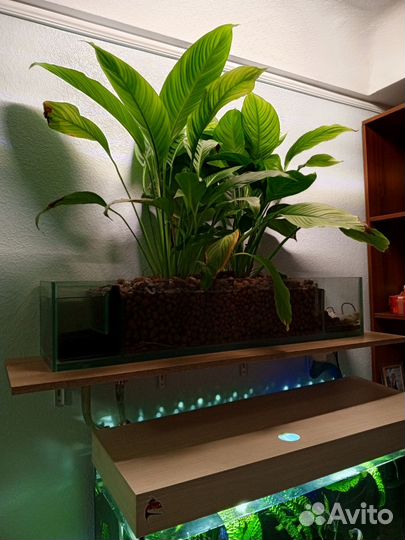 Аквариум с тумбой 180 литров