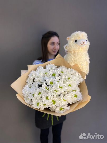 Хризантема кустовая 21 51 101 доставка