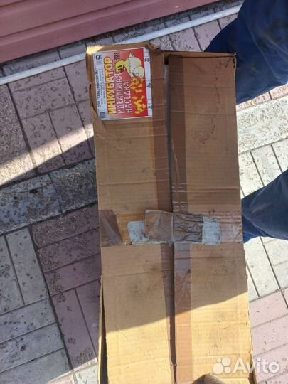 Инкубатор для яиц