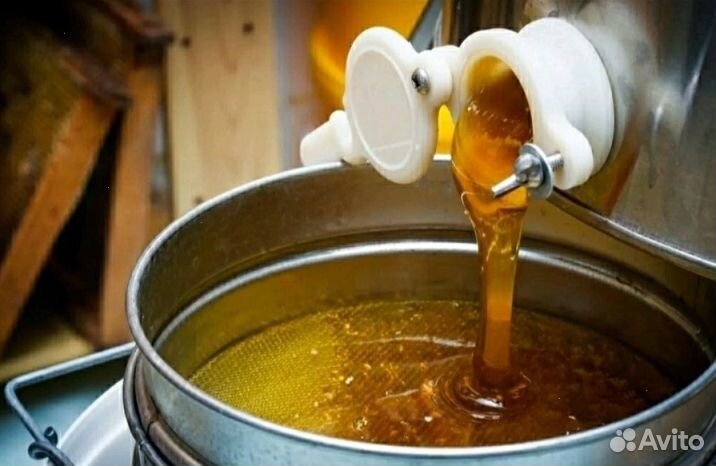 Мёд натуральный из Алтая опт. от 16 кг