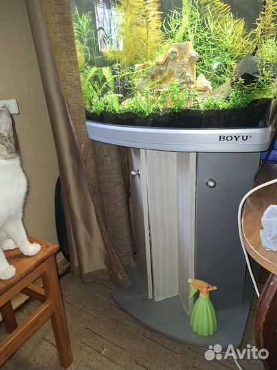 Аквариум панорамный с тумбой