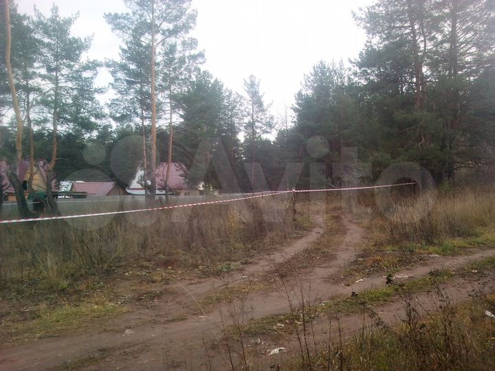 Участок 10,3 сот. (СНТ, ДНП)