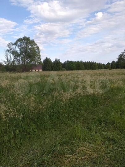 Участок 5,4 га (СНТ, ДНП)