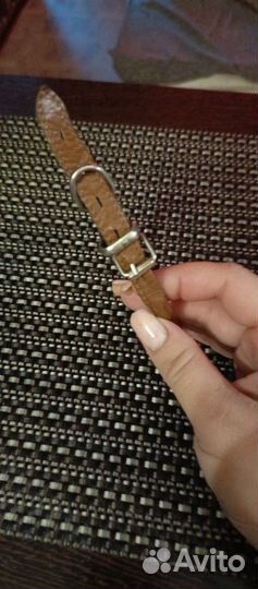 Шлейка и ошейник