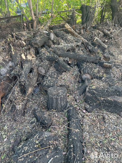 Дрова бесплатно самовывоз
