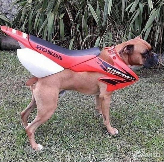 Yamaha jog artistic читайте описание