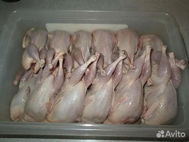 Мясо перепелов