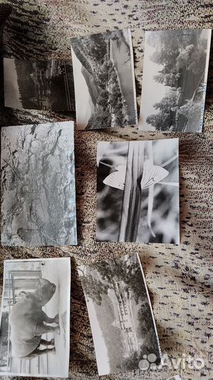 Фотографии ч/б