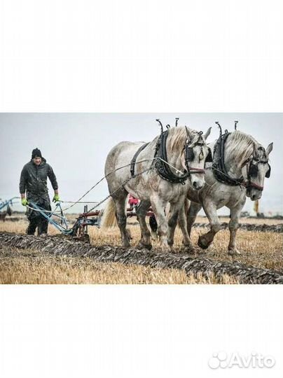 Вспашка земли