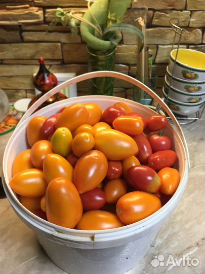 Помидоры домашние