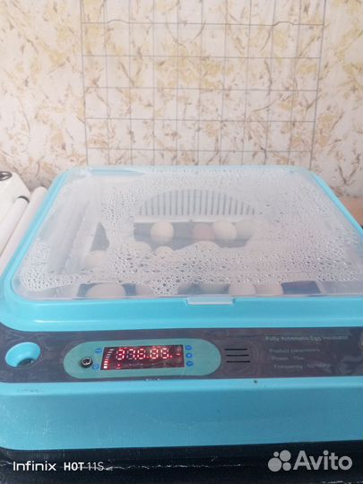 Инкубатор автоматический на 54 яйца