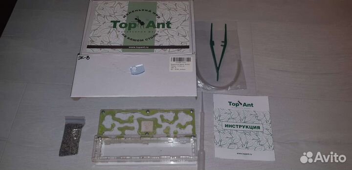 Муравьиная ферма без муравьев б/у 1 раз