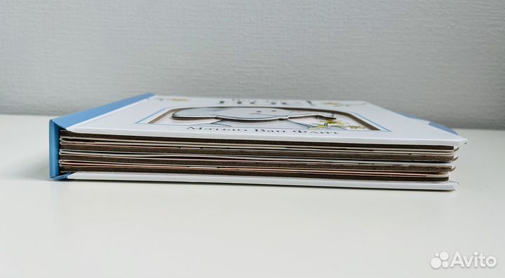 Книга Мэтью Ван Флит 