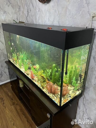 Аквариум