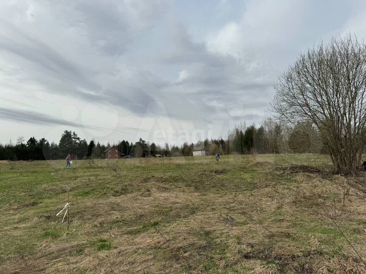 Участок 6,2 сот. (ИЖС)