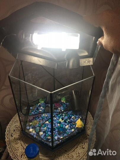 Аквариум