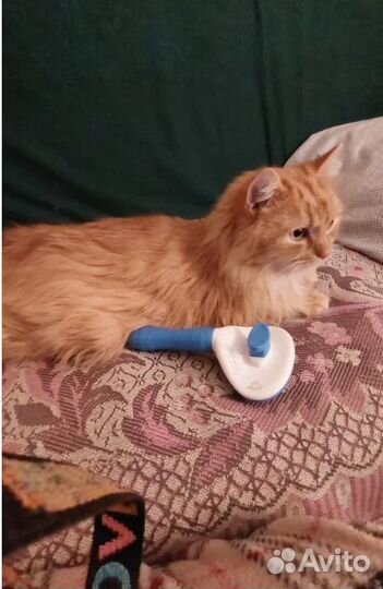 Фурминатор,расчёска, пуходерка для кошек и собак