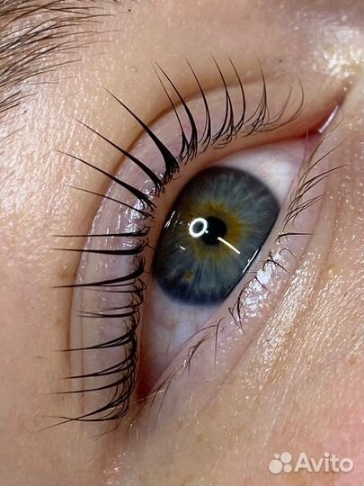 Мастер бровист