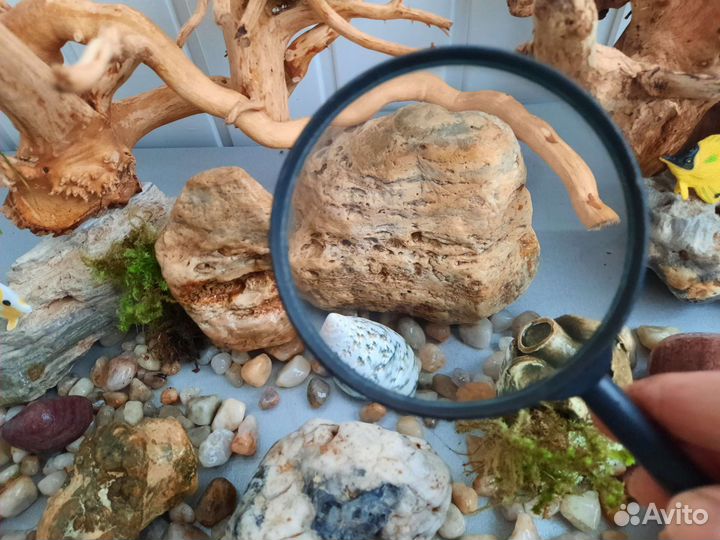 Аквариум грунт