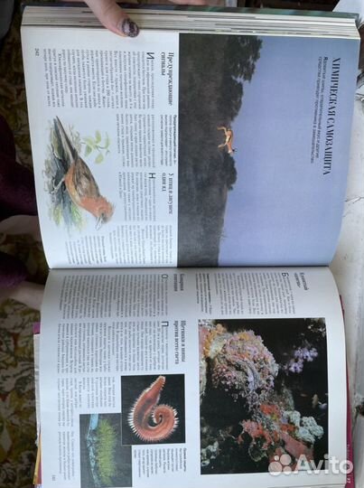 Книга «Секреты природы»