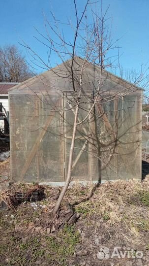 Теплица 3*8