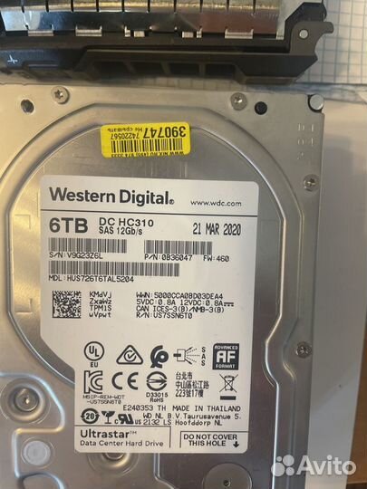 Western digital purple 6tb