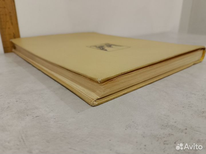 Сомина Р.А. Невский проспект