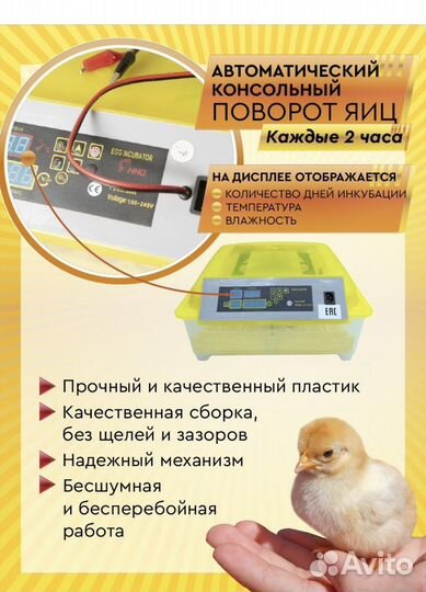 Инкубатор автоматический