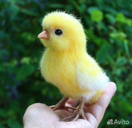 Брюховецкий комбикорм